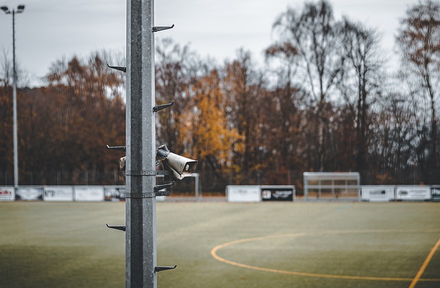 无疑是其中 无疑是其中