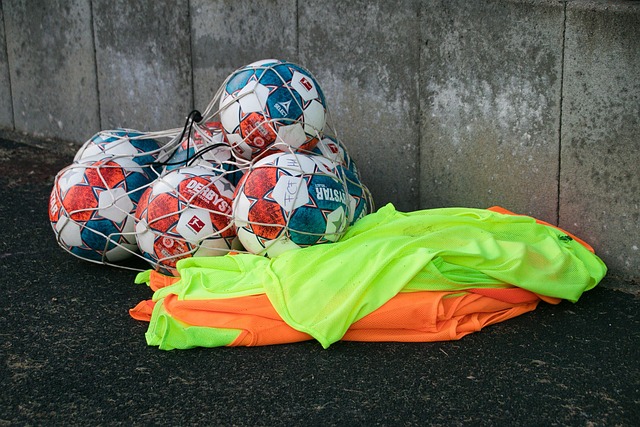 心与动力 心与动力