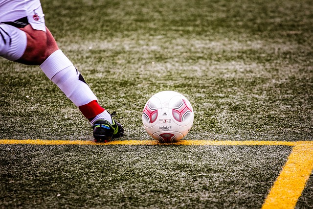 多年努力的 多年努力的