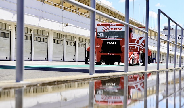 篮增添新的 篮增添新的